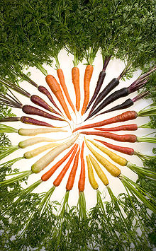 220px-Carrots_of_many_colors